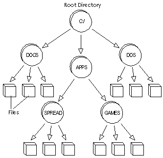 directory tree