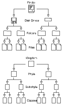 hierarchies