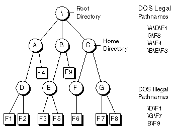 pathhnames